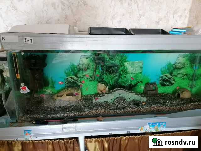 Аквариум Химки - изображение 1