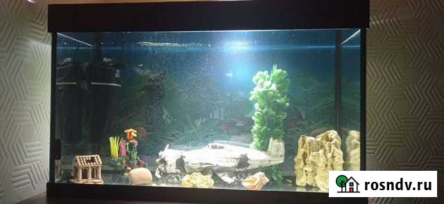 Аквариум Домодедово - изображение 1