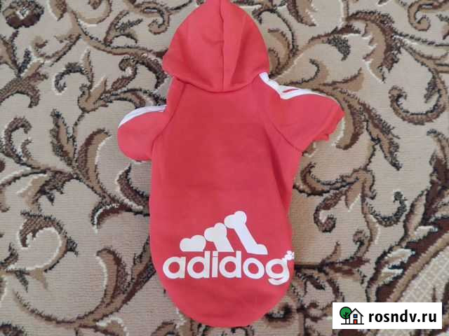 Толстовка и куртка для собаки Ангарск - изображение 1