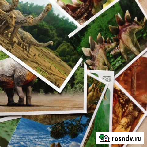 Наклейки Смотри Динозавры из Дикси Электросталь - изображение 1