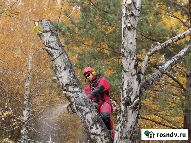 Спил Деревьев Новороссийск. Удаление, Обрезка Новороссийск - изображение 1