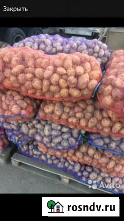 Картофель продаю оптом. капуста, морковь, свёкла Красноярск - изображение 1