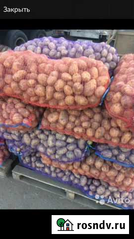 Картофель продаю оптом. капуста, морковь, свёкла Красноярск - изображение 1