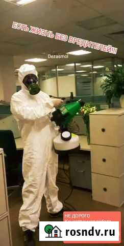 Уничтожение клопов и тараканов (Дезинсекция) Смоленск - изображение 1