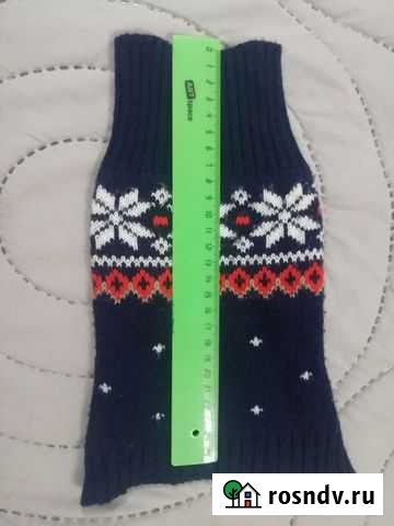 Кофта для собак Калининград - изображение 1