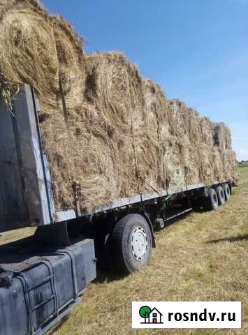Сено Омск - изображение 1