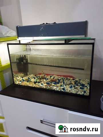 Аквариум с тумбой Киров - изображение 1