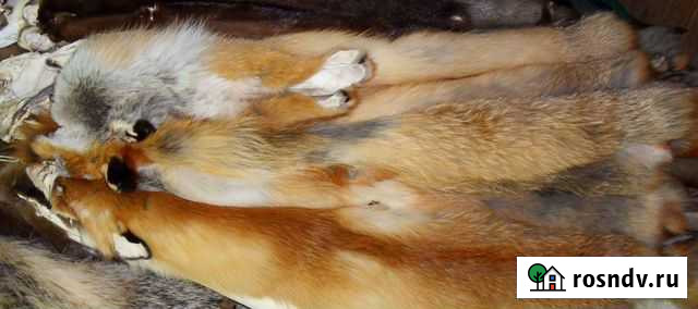 Выделка шкур Волжский - изображение 1