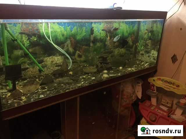 Продам аквариум на 400 литров с фильтром для воды Переславль-Залесский - изображение 1