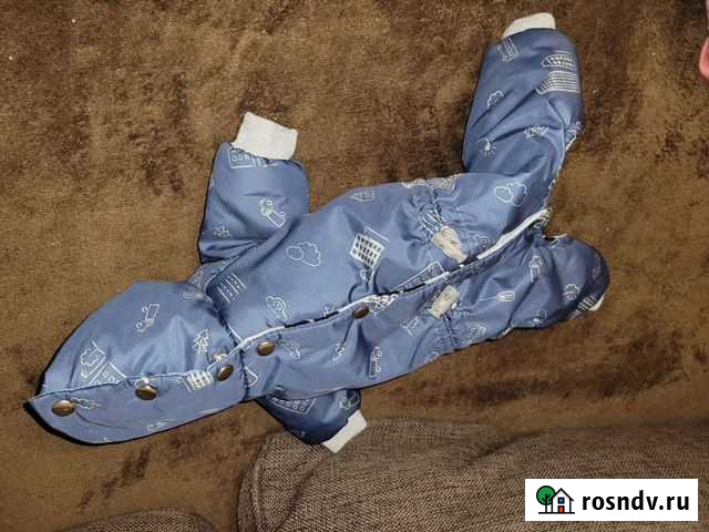 Комбинезон для маленькой собаки Красногорск - изображение 1