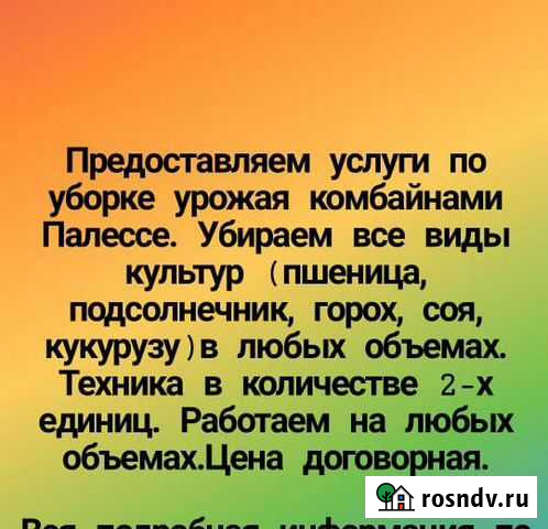 Уборка кукурузы Елизаветинское - изображение 1