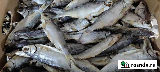 Вобла вяленая Кизляр - изображение 1