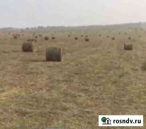 Продам Сено в рулонах есть погрузка доставк Усолье-Сибирское