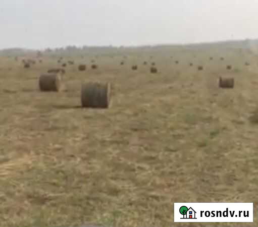 Продам Сено в рулонах есть погрузка доставк Усолье-Сибирское - изображение 1