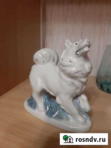 Собачка Самара - изображение 1