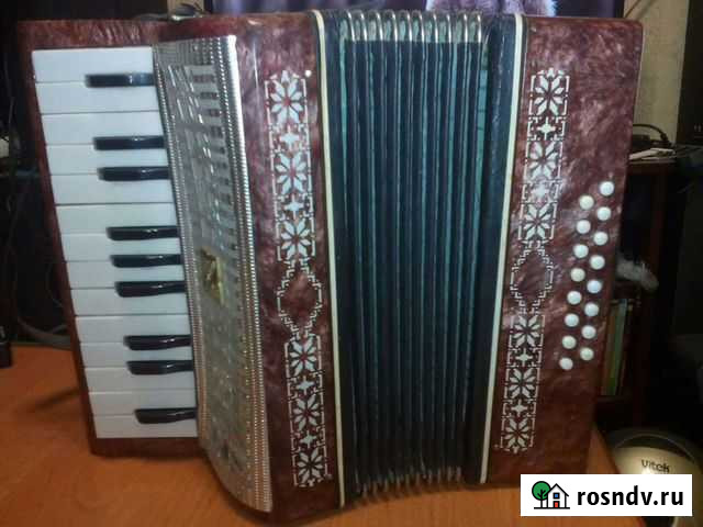 Акардион Малыш детский Рыбное - изображение 1