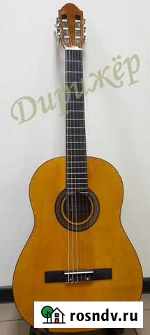 Гитара Брянск - изображение 1