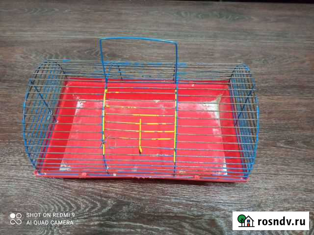 Клетка для хомяка бесплатно Керчь - изображение 1