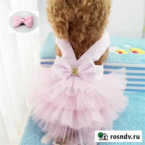 Платье-пачка для собак Екатеринбург - изображение 1