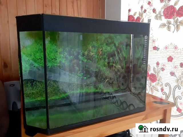 Аквариум Горный Щит - изображение 1