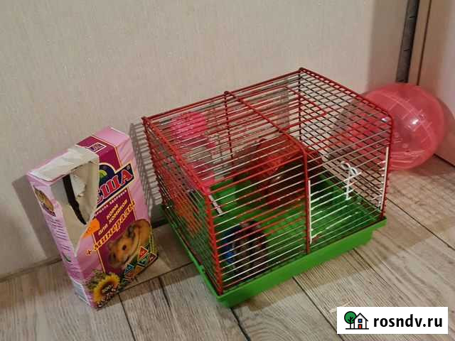 Клетка для джунгарского хомяка, сам хомяк, корм дл Вурнары - изображение 1