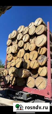 Отборный лес Вологда - изображение 1