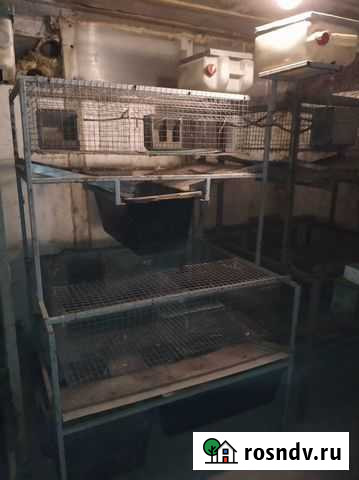 Клетки для кроликов бу Рамонь - изображение 1
