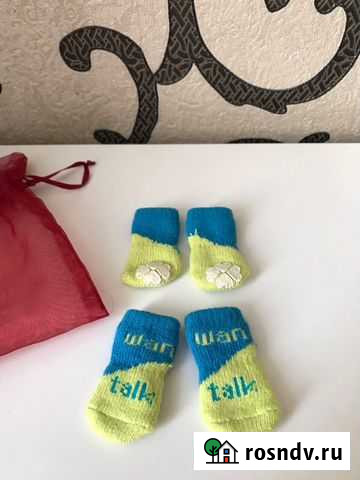 Носочки для маленькой собачки Нижний Новгород - изображение 1