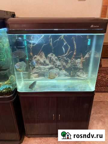 Аквариум sunsun Комсомольск-на-Амуре - изображение 1