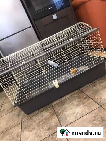 Продается клетка для морских свинок или для кролик Ижевск - изображение 1