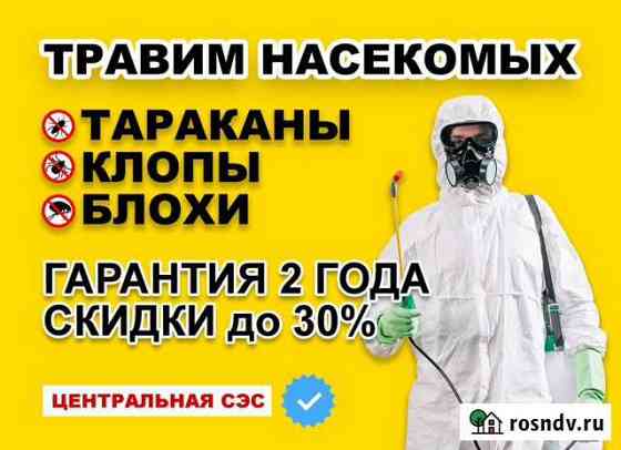 Травим блох, тараканов, клопов Кемерово