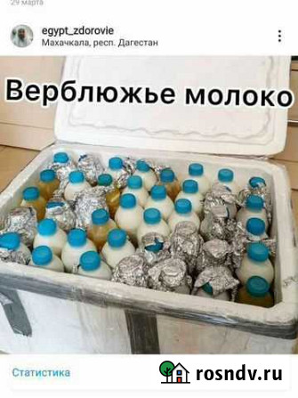 Молоко верблюжье для лечения Махачкала - изображение 1
