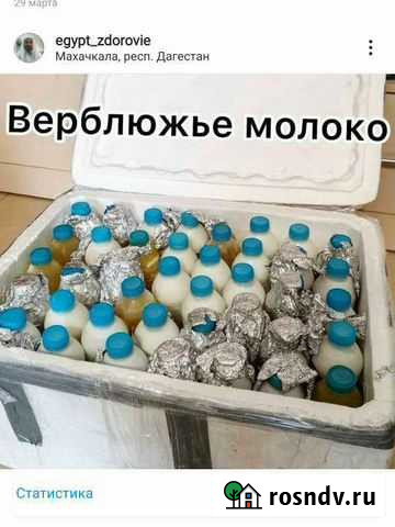 Молоко верблюжье для лечения Махачкала - изображение 1