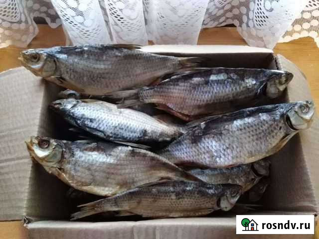 Рыба. Вобла вяленая Кинешма - изображение 1