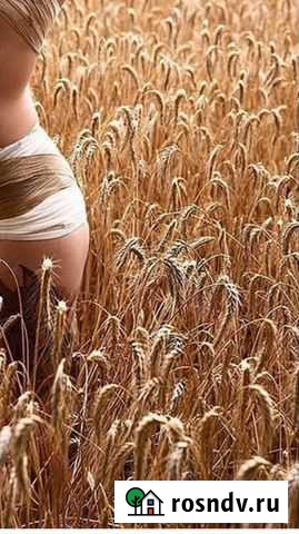 Пненица уражая 2021 года Новолабинская - изображение 1