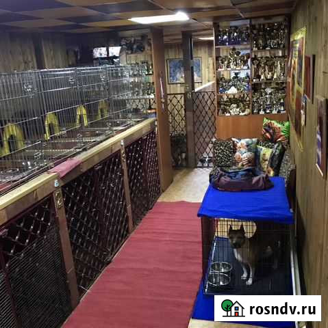 Гостиница для животных. 16 лет на рынке Кемерово - изображение 1