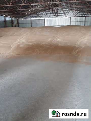 Пшеница Кропоткин - изображение 1