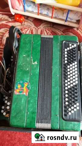 Баян Данков - изображение 1