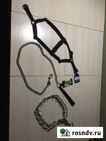 Шлейка для собаки Новороссийск - изображение 1