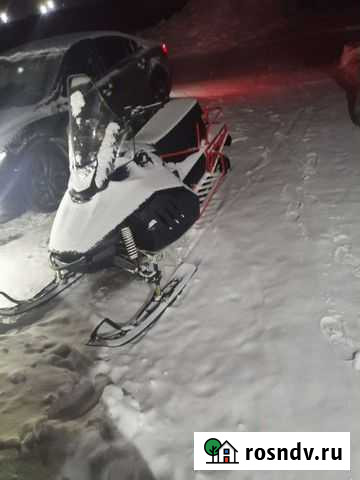 Ирбис тунгус Пермь - изображение 1