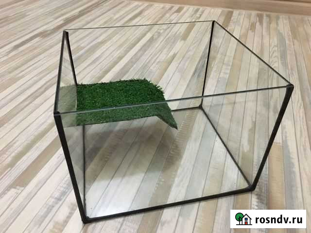 Террариум Нижнекамск - изображение 1