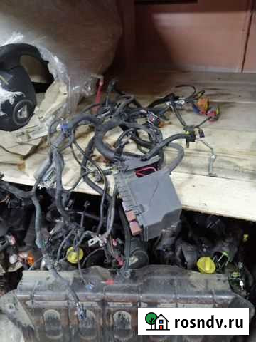 Проводка подкапотная лагуна 2 2.0f4r автомат Чебоксары - изображение 1