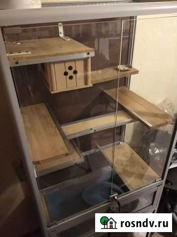 Ветрина, клетка, дом для шиншиллы Новосибирск - изображение 1