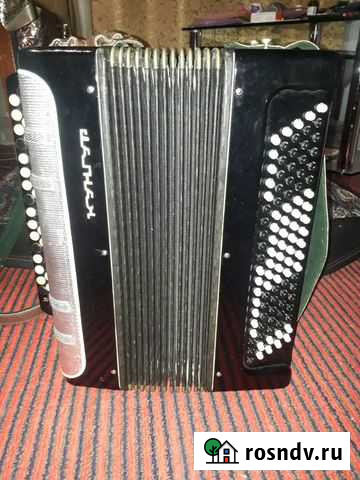 Баян Левокумское - изображение 1