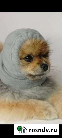 Обувь,вешалки, лоток,совок, шапочка, ошейник Уфа - изображение 1