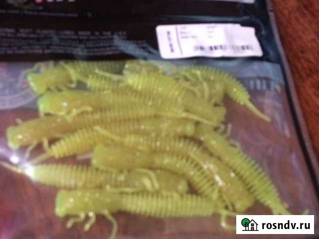 Личинка стрекозы Сысерть - изображение 1