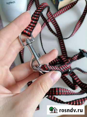 Шлейка и переноска для кота Краснодар - изображение 1