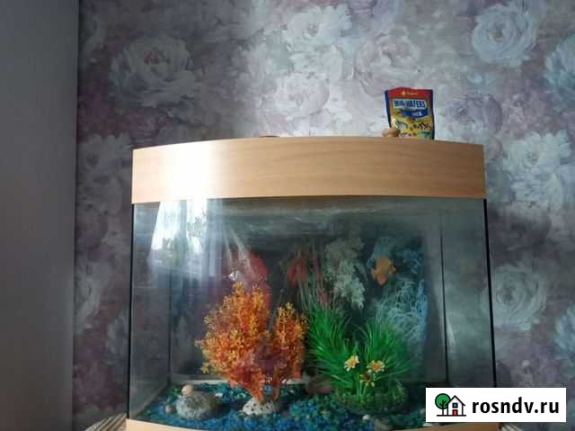 Украшение для аквариума Краснодар - изображение 1