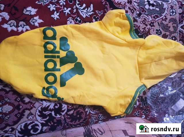 Зимняя толстовка Худи с капюшоном для собак 5XL Саранск - изображение 1