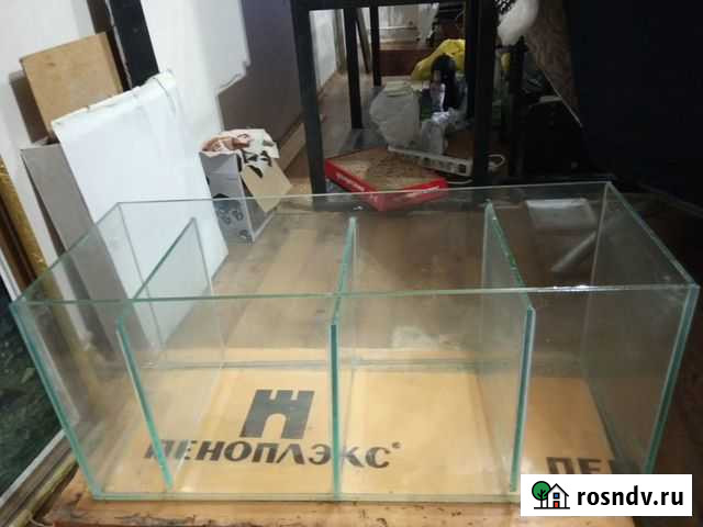 Аквариумистика Иркутск - изображение 1